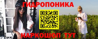 a pvp Свободный