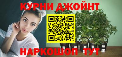 тгк Славгород