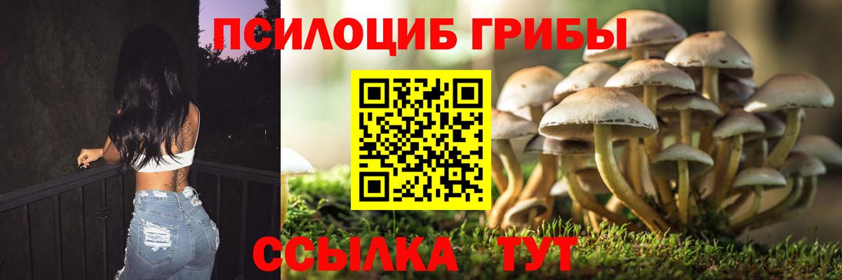 Шали  Псилоцибиновые грибы Psilocybe  Вход с VPN 