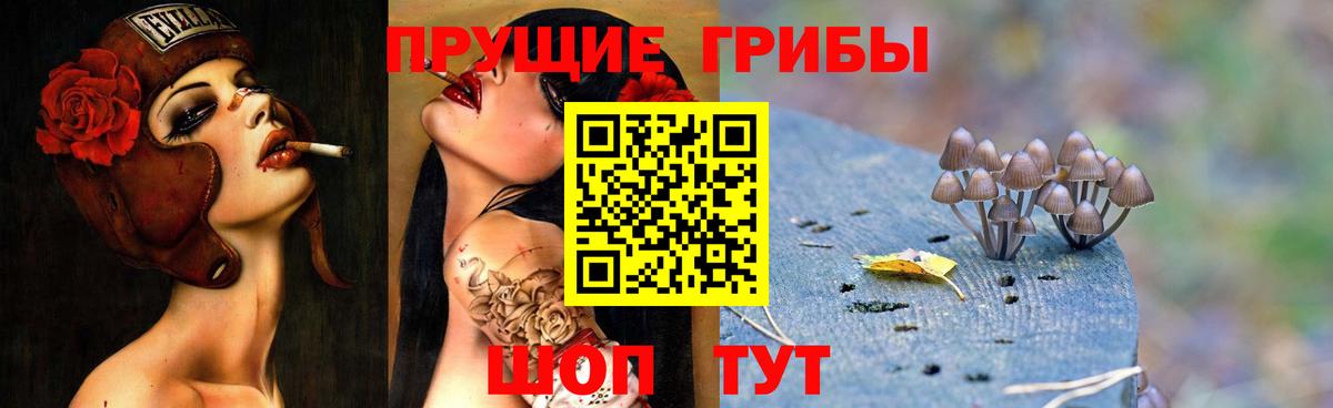 Галлюциногенные грибы Magic Shrooms Шали
